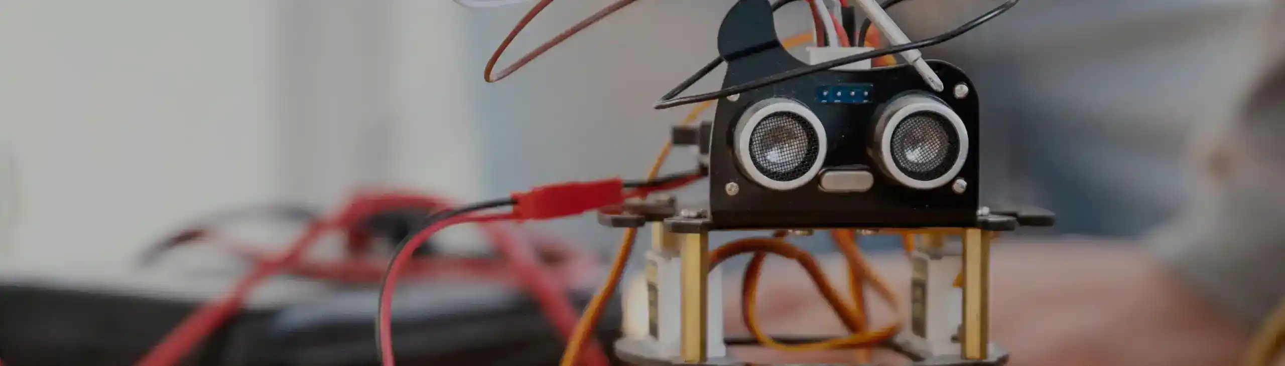 Robòtica Autònoma i Col·laborativa – Pràctiques amb Robots