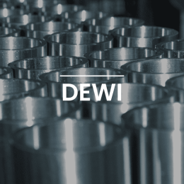 DEWI-L