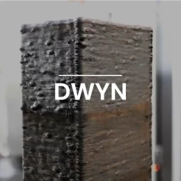 DWYN